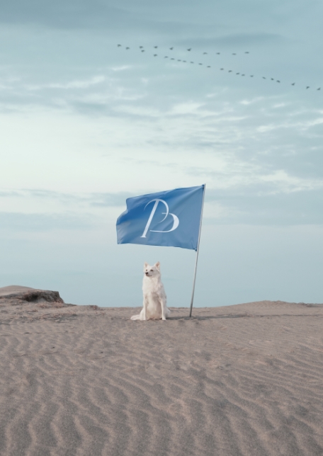 STANDING ON THE BLUE